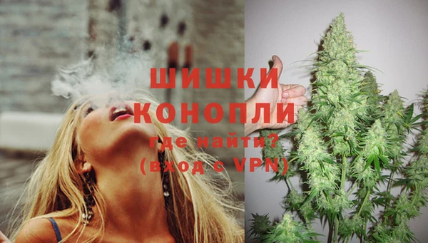 спайс Аркадак