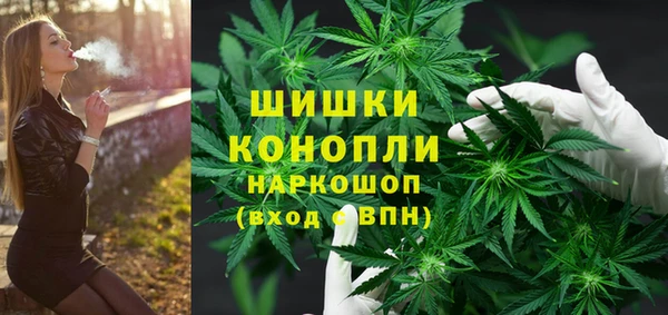 прущие крисы Арсеньев
