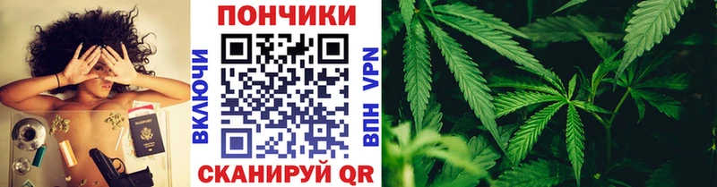 Каннабис конопля  где продают   Новоржев 